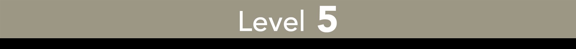 Level 5 strip