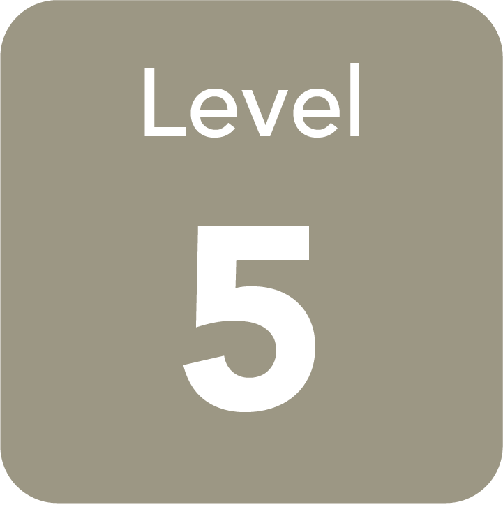 Cast metal level 5