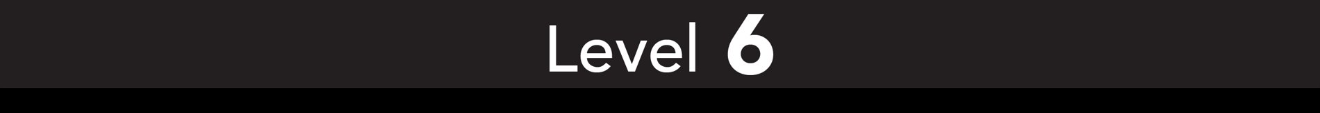 Level 6 strip