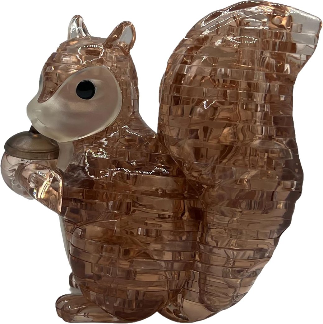 Squirrel view 5