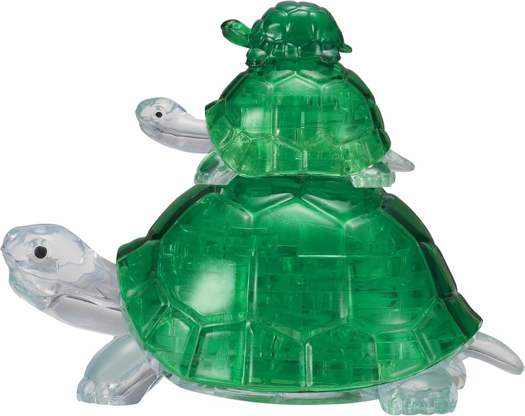 Turtles view 3